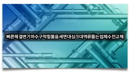 빠른해결변기하수구막힘뚫음세면대싱크대역류뚫는업체수전교체