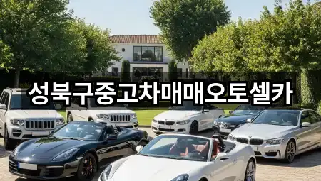 성북구중고차매매오토셀카