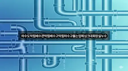 하수도막힘배수관막힘배수구막힘하수구뚫는업체싱크대화장실누수