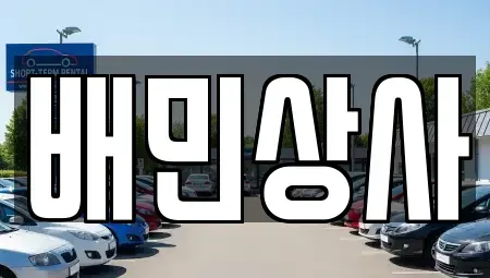 강원 강릉시 주문진읍 중고차 전문 배민상사