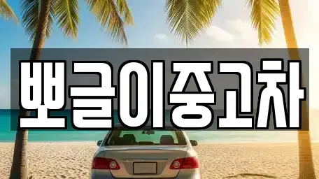 강원 강릉시 주문진읍 중고차,렌트카,중고차매입,중고차매매,장기렌트카,단기렌트카