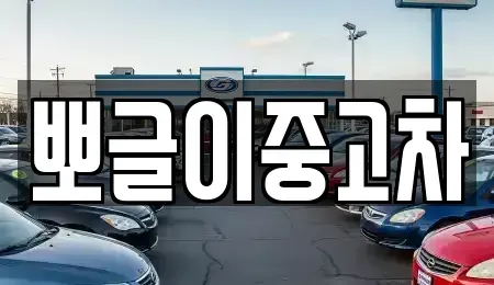 강원 영월군 산솔면 중고차 전문 뽀글이중고차