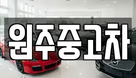 강원 원주시 원동 중고차매매 전문 원주중고차
