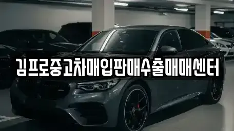 강원 원주시 원동 중고차매입 전문 김프로중고차매입판매수출매매센터