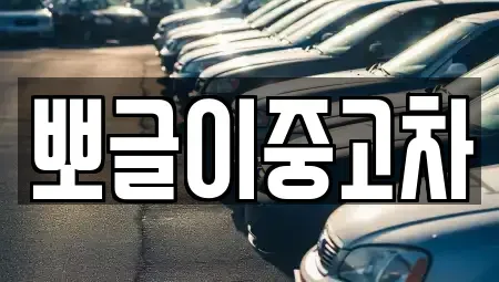 강원특별자치도 강릉시 내곡동 중고차 전문 뽀글이중고차