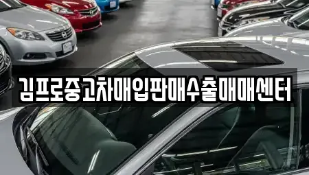 강원특별자치도 강릉시 내곡동 중고차매입 전문 김프로중고차매입판매수출매매센터