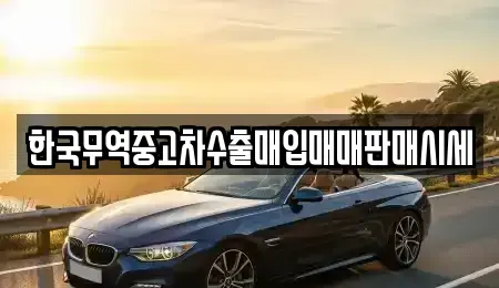 강원특별자치도 강릉시 내곡동 중고차매입 전문 한국무역중고차수출매입매매판매시세