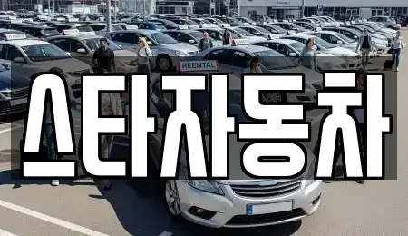 강원특별자치도 삼척시 교동 중고차매매 전문 스타자동차