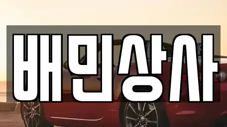 강원특별자치도 삼척시 자원동 중고차 전문 배민상사