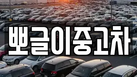 강원특별자치도 삼척시 자원동 중고차 전문 뽀글이중고차