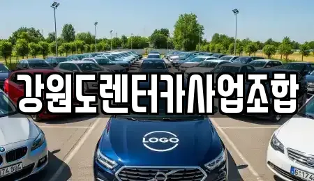 강원특별자치도 태백시 화전동 렌트카 전문 강원도렌터카사업조합