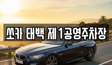 강원특별자치도 태백시 화전동 렌트카 전문 쏘카 태백 제1공영주차장