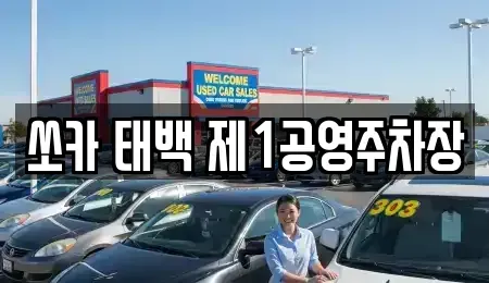 강원특별자치도 태백시 화전동 렌트카 전문 쏘카 태백 제1공영주차장