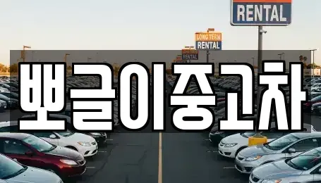 강원특별자치도 태백시 화전동 중고차 전문 뽀글이중고차