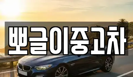 강원특별자치도 태백시 화전동 중고차매매 전문 뽀글이중고차