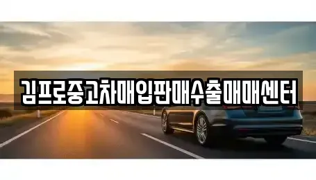 강원특별자치도 태백시 화전동 중고차매입 전문 김프로중고차매입판매수출매매센터