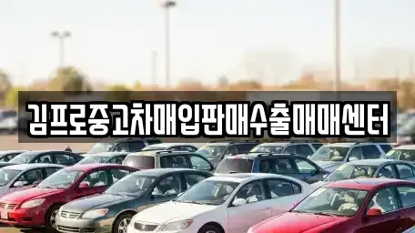 강원특별자치도 횡성군 횡성읍 중고차매입 전문 김프로중고차매입판매수출매매센터