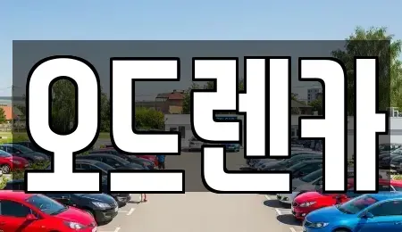 경기 부천시 소사구 옥길동 단기렌트카 전문 오드렌카