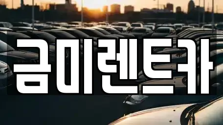 경기 부천시 소사구 옥길동 렌트카 전문 금미렌트카