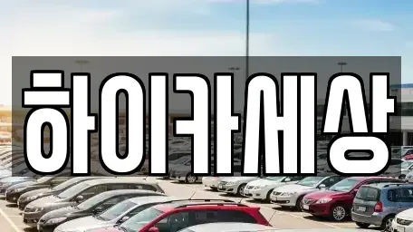 경기 부천시 소사구 옥길동 렌트카 전문 하이카세상