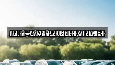 경기 부천시 소사구 옥길동 장기렌트카 전문 사고대차국산차수입차드라이브렌터카,장기리스렌트카