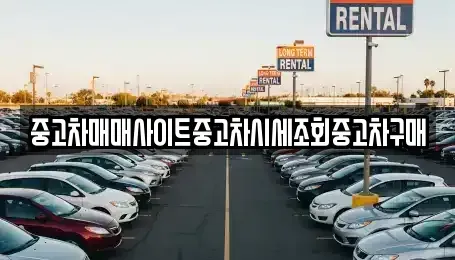 경기 부천시 소사구 옥길동 중고차매매 전문 중고차매매사이트중고차시세조회중고차구매