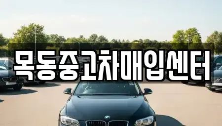 경기 부천시 소사구 옥길동 중고차매입 전문 목동중고차매입센터