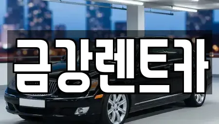 경기 수원시 장안구 송죽동 렌트카 전문 금강렌트카
