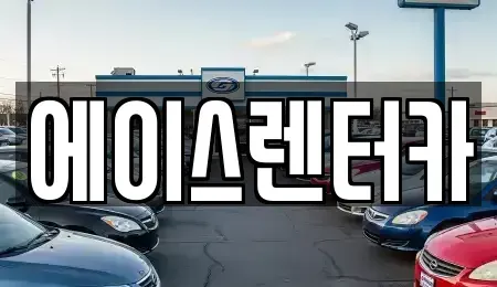 경기 안성시 신건지동 렌트카 전문 에이스렌터카