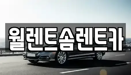 경기 안성시 신건지동 렌트카 전문 월렌트솜렌트카