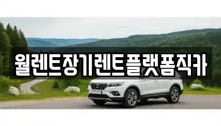 경기 안성시 신건지동 장기렌트카 전문 월렌트장기렌트플랫폼직카
