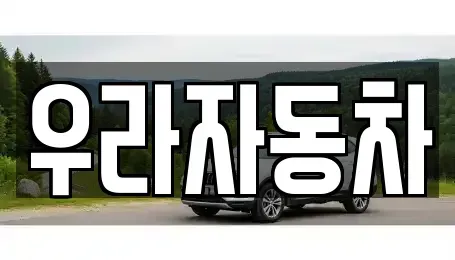 경기 안성시 신건지동 중고차 전문 우라자동차