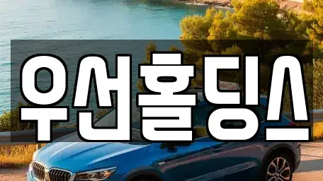 경기 안성시 신건지동 중고차 전문 우선홀딩스