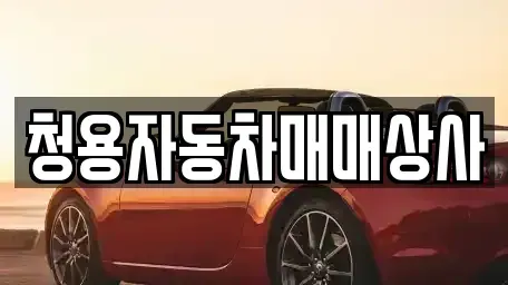 경기 안성시 신건지동 중고차 전문 청용자동차매매상사