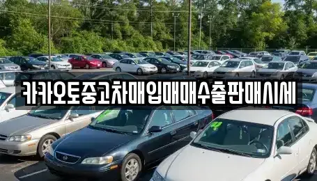 경기 안성시 신건지동 중고차매입 전문 카카오토중고차매입매매수출판매시세