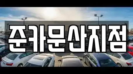 경기 파주시 문산읍 렌트카 전문 준카문산지점