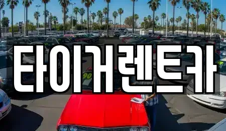 경기 파주시 문산읍 렌트카 전문 타이거렌트카