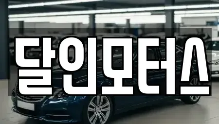 경기 파주시 문산읍 중고차매매 전문 달인모터스