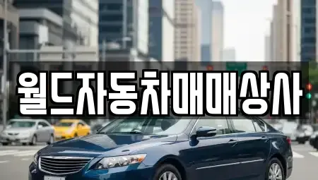 경기 파주시 문산읍 중고차매매 전문 월드자동차매매상사