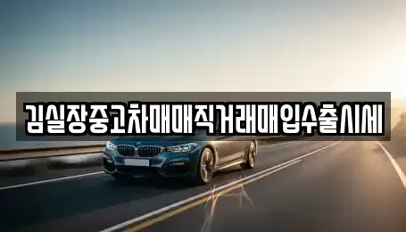 경기 파주시 문산읍 중고차매입 전문 김실장중고차매매직거래매입수출시세