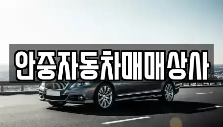 경기 평택시 현덕면 중고차 전문 안중자동차매매상사