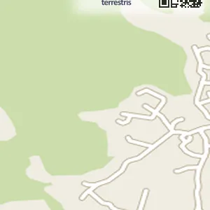 경기 포천시 자작동 렌트카 허니문렌트카 위치