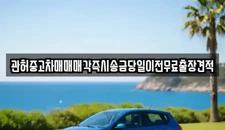 경기 포천시 자작동 중고차 전문 관허중고차매매매각즉시송금당일이전무료출장견적