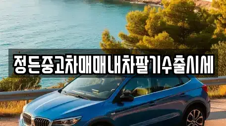 경기 포천시 자작동 중고차 전문 정든중고차매매내차팔기수출시세