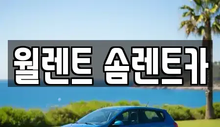 경기 화성시 황계동 렌트카 전문 월렌트 솜렌트카