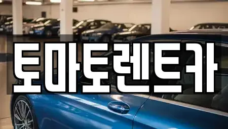 경기도 광주시 남종면 렌트카 전문 토마토렌트카