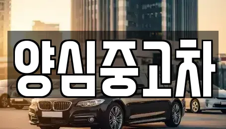 경기도 광주시 남종면 중고차매매 전문 양심중고차