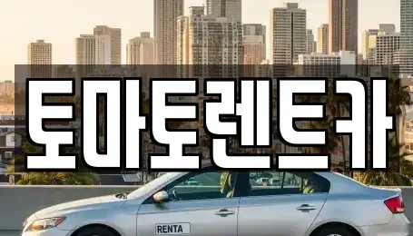 경기도 성남시 수정구 시흥동 렌트카 전문 토마토렌트카