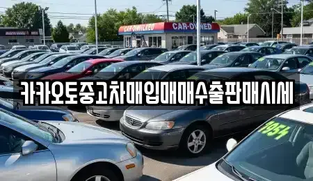경기도 성남시 수정구 시흥동 중고차매입 전문 카카오토중고차매입매매수출판매시세