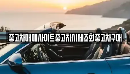 경기도 성남시 중원구 성남동 중고차 전문 중고차매매사이트중고차시세조회중고차구매